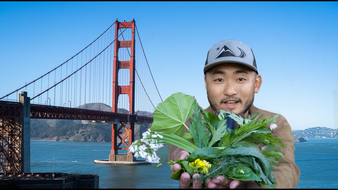 Identifying EDIBLE RESOURCES In The Streets Of San Francisco | Urban Foraging