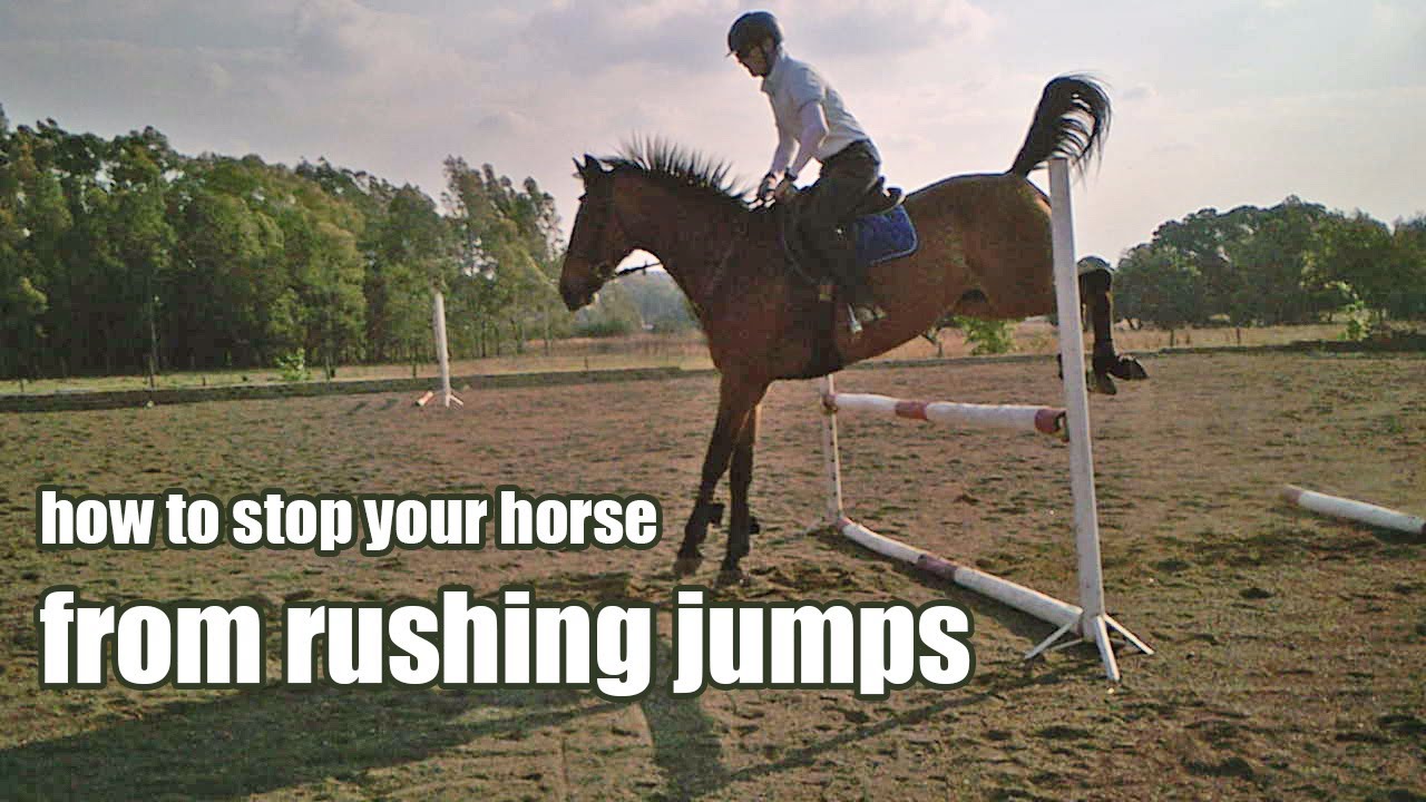How to stop your horse from rushing jumps when you jump