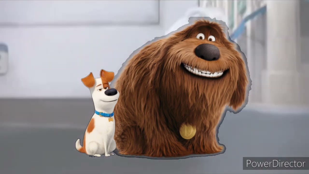 The Secret Life Of Pets Max And Duke Voice Eric Stonesteet Louis C.K