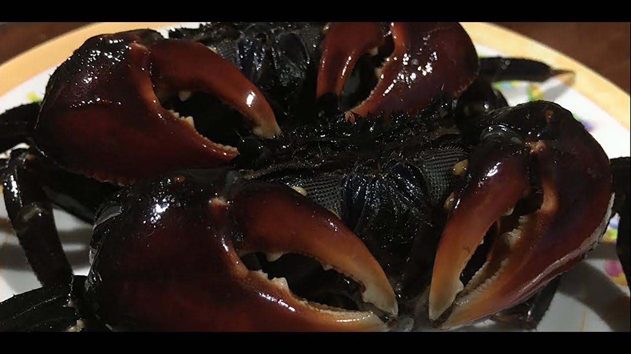 Khmer Food of Kdam Prai | Khmer Food Recipe | My Kitchen My Dish | Cambodian Food | Awesome Eats