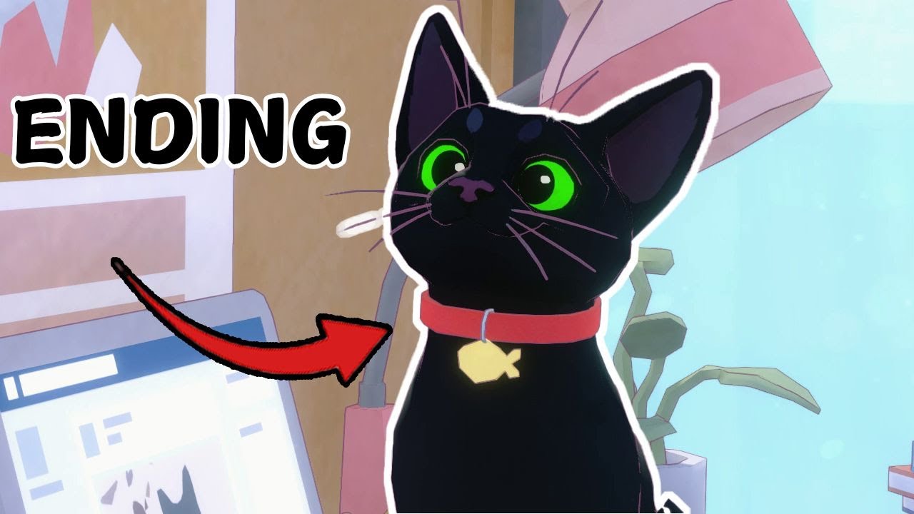 Little Kitty's BIG Adventure in the Big City! | LITTLE KITTY BIG CITY GAMEPLAY #3