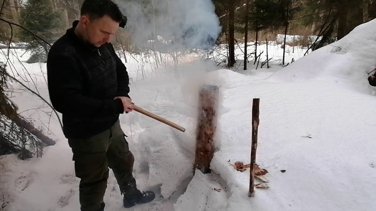 Bushcraft. shelter in the forest. big trees part 2.