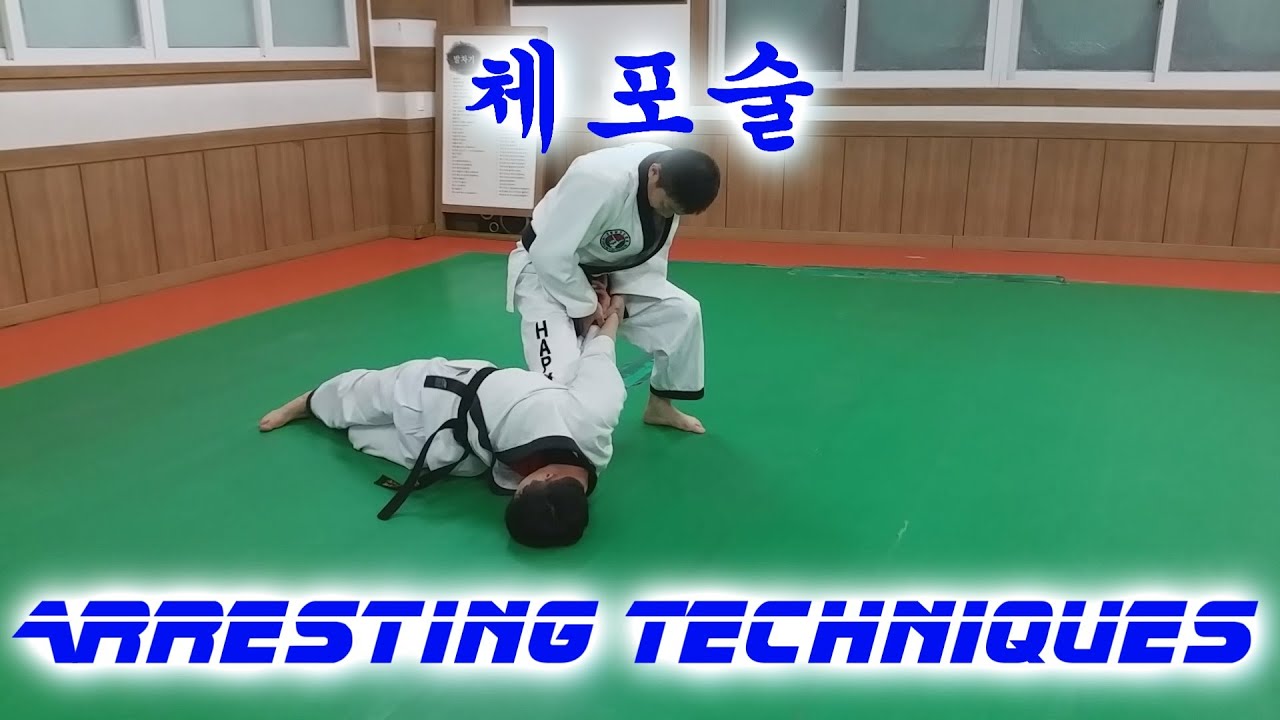 10 Real Arresting Techniques - Eul Ji Kwan - Hapkido/Self Defense/Security/Police/Army