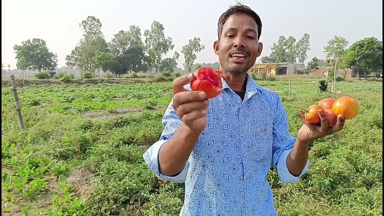 नेनोवा ₹5 किलो और टमाटर ₹5 किलो | vegetable price india vs pakistan reaction | vegetable price