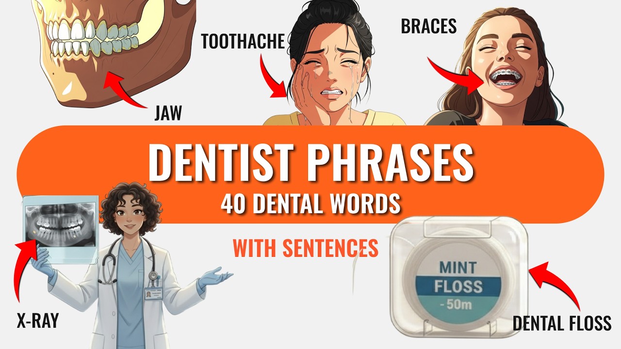 Don't Panic at the Dentist! 40 Words to Save Your Smile 🦷