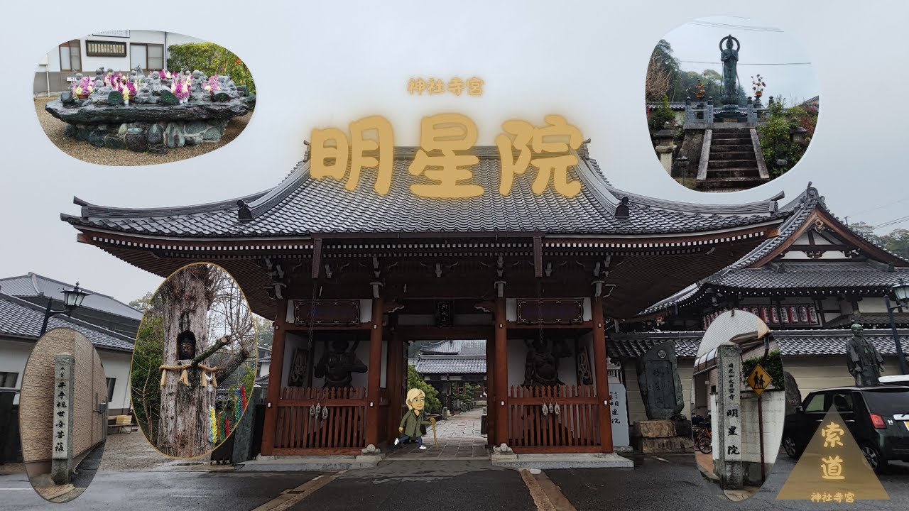 神社寺宮一百一十五回 - 明星院 _ 旅遊索道