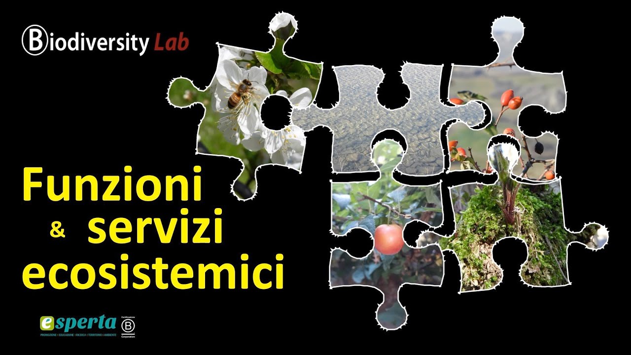 Funzioni e servizi ecosistemici