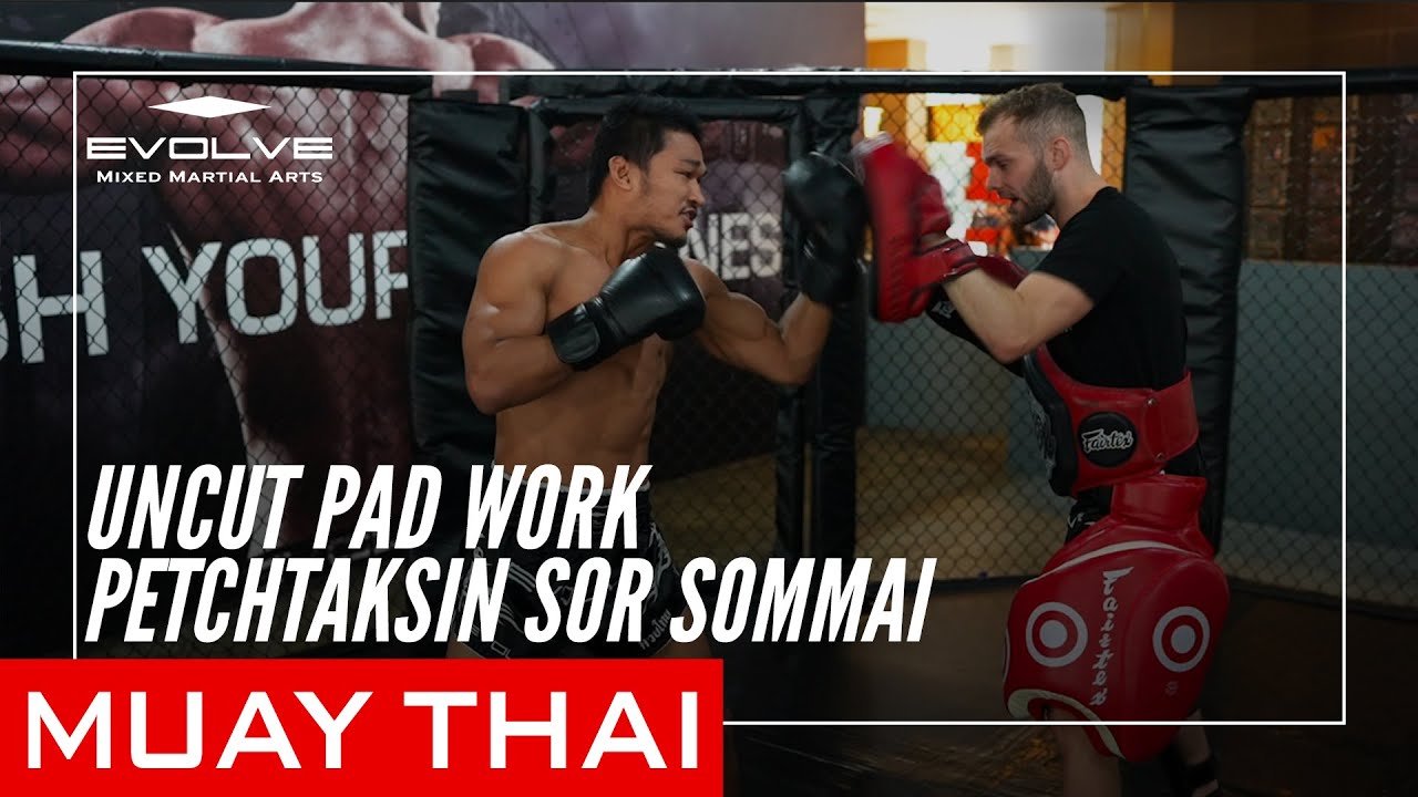 Uncut Muay Thai Pad Work | Petchtaksin Sor Sommai