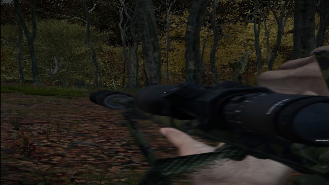 Horses | Kryptic Montage