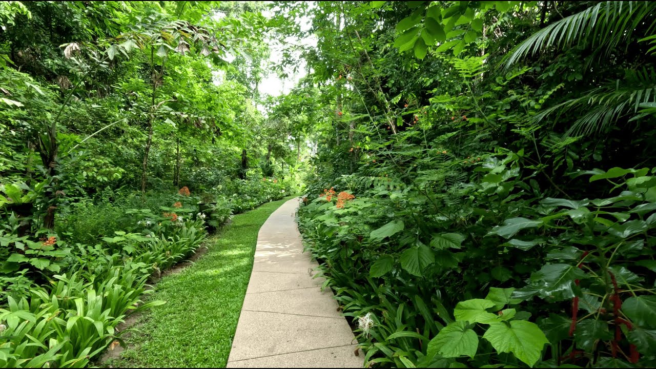 The Datai Langkawi - From back to back