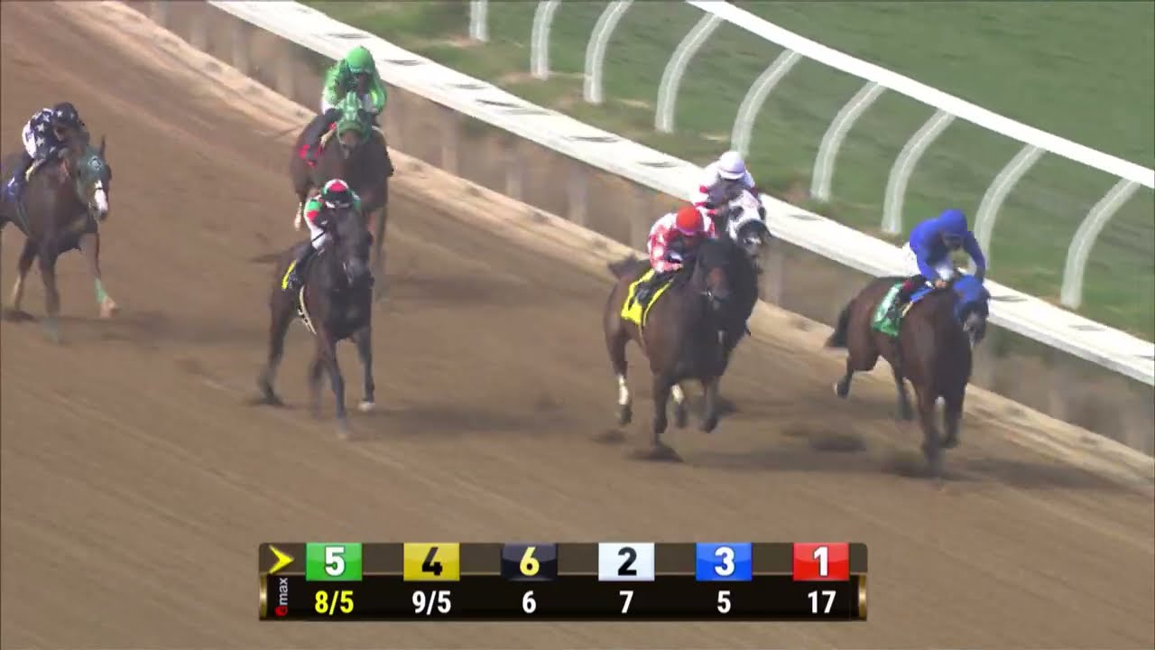 Starship Chewbacca wins race 1 at Del Mar 11/3/21.