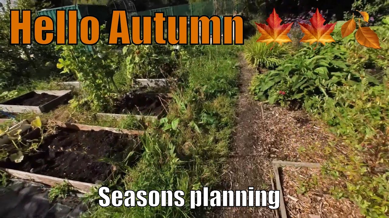 Hello Autumn | Planning for the next season | Allotment Life