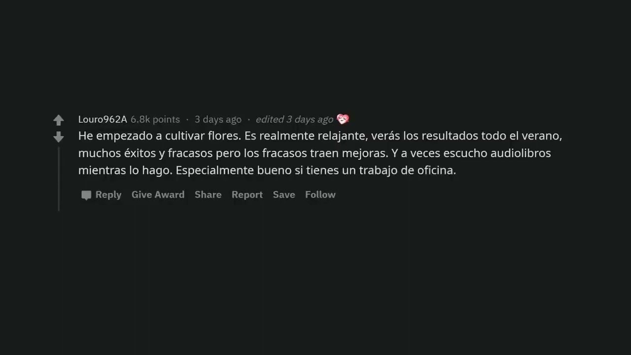 Reddit en corto