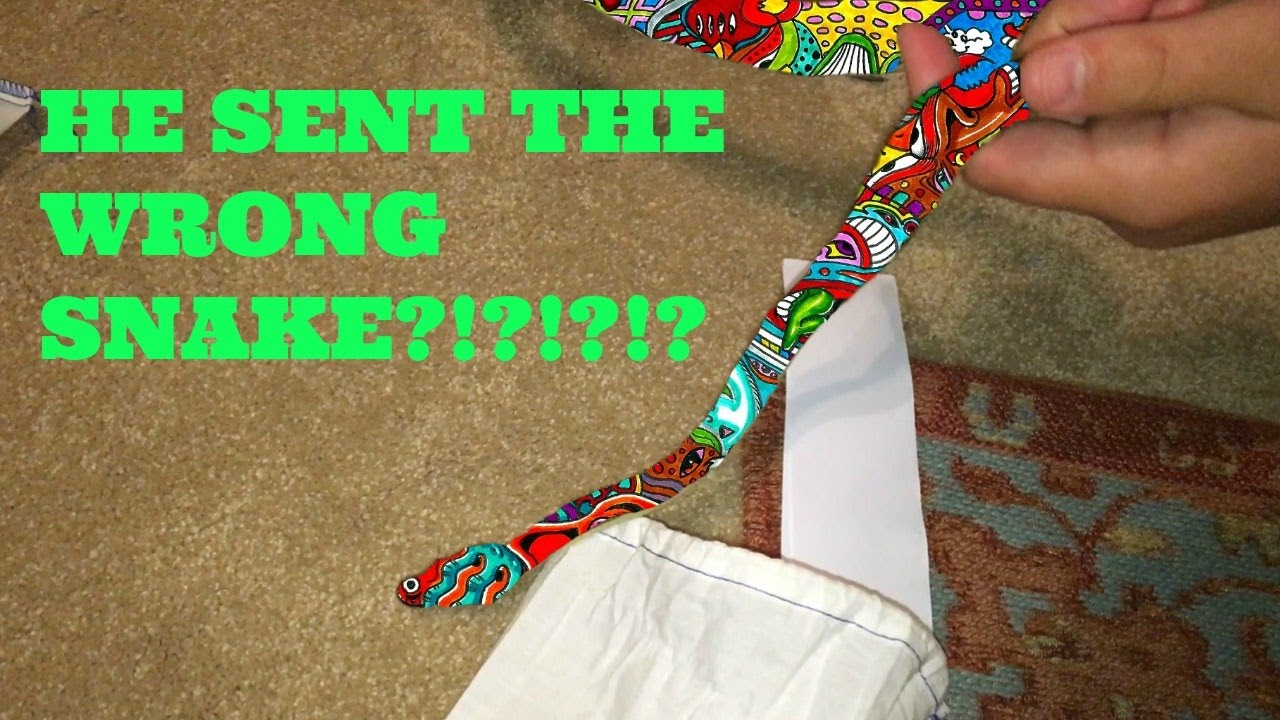 Bob Clark Unboxing! (HE SENT US THE WRONG SNAKE!!!!)