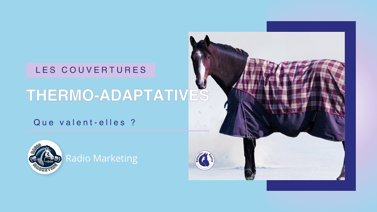 Couvertures thermo‑adaptatives pour cheval : mythe ou véritable aide ?