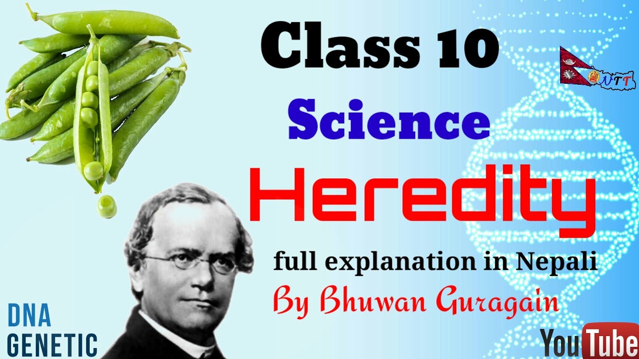 Heredity in Nepali | Class 10 | Biology | Full Explanation by Bhuwan Guragain