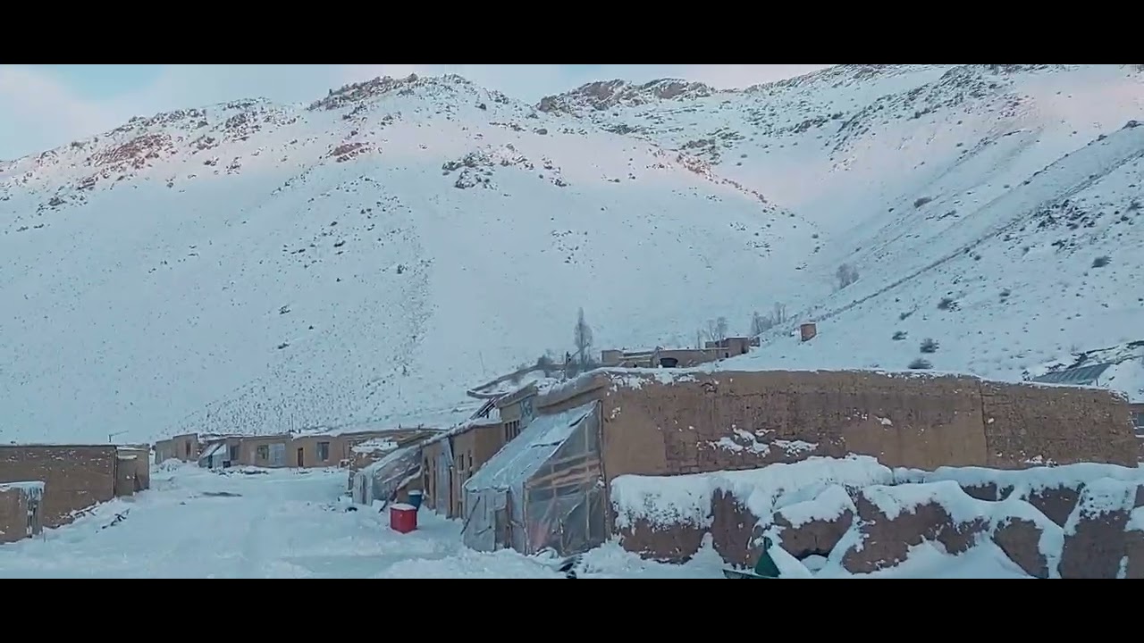 ۱ فوریهٔ ۲۰۲۶