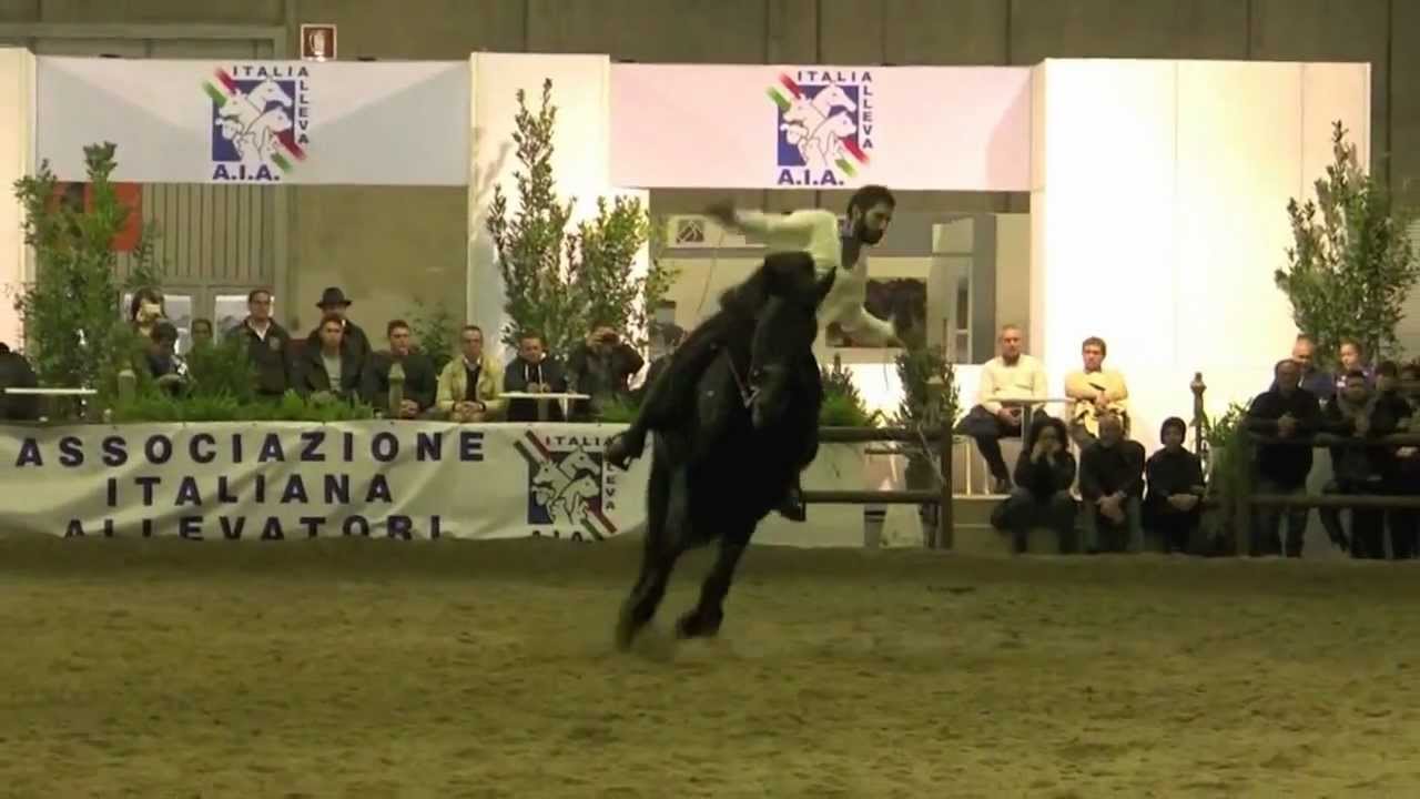 FieraCavalli 2012 Cimarosa e Oddo