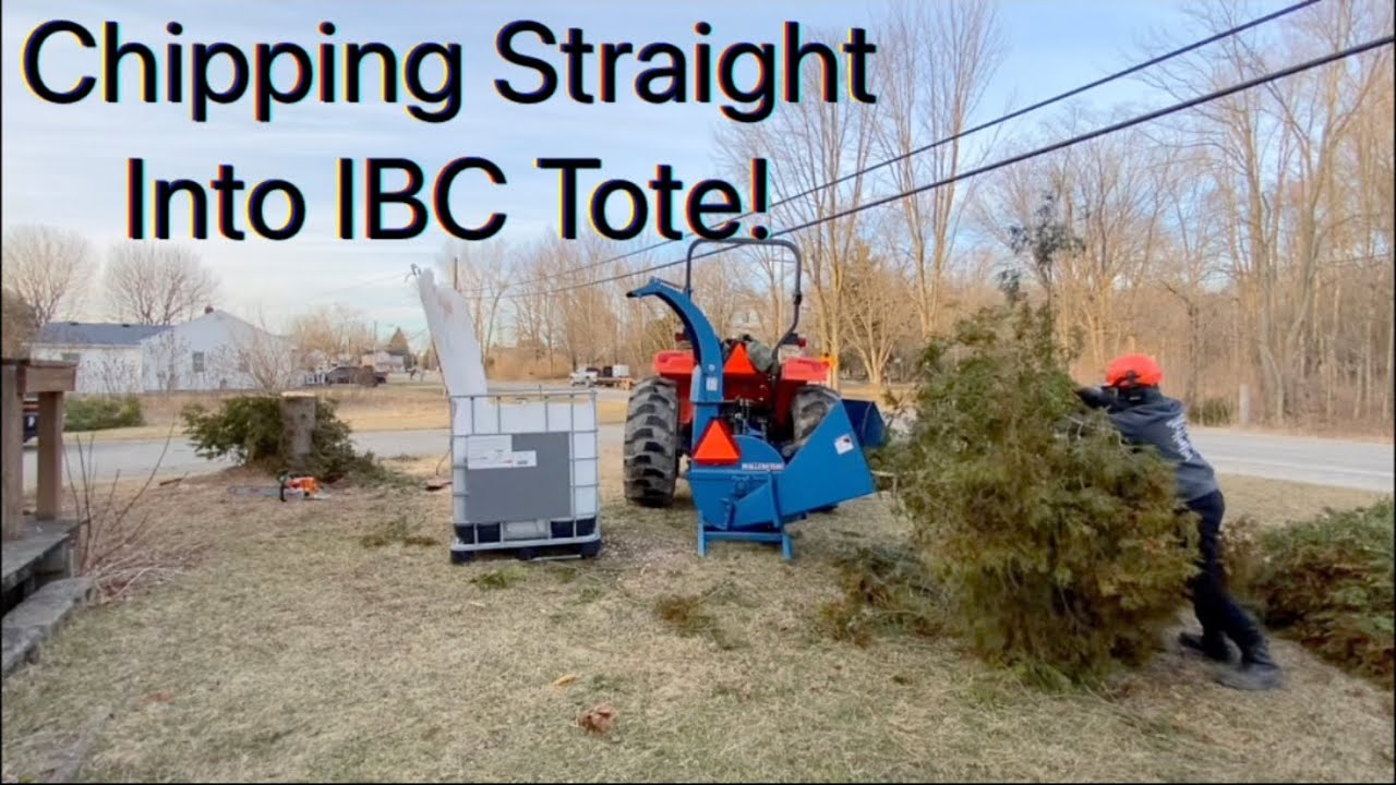 Wood Chipping, Chainsaw Stump Cutting, Tree Job Finished! Wallenstein BX62 Chipper Into IBC Tote #31