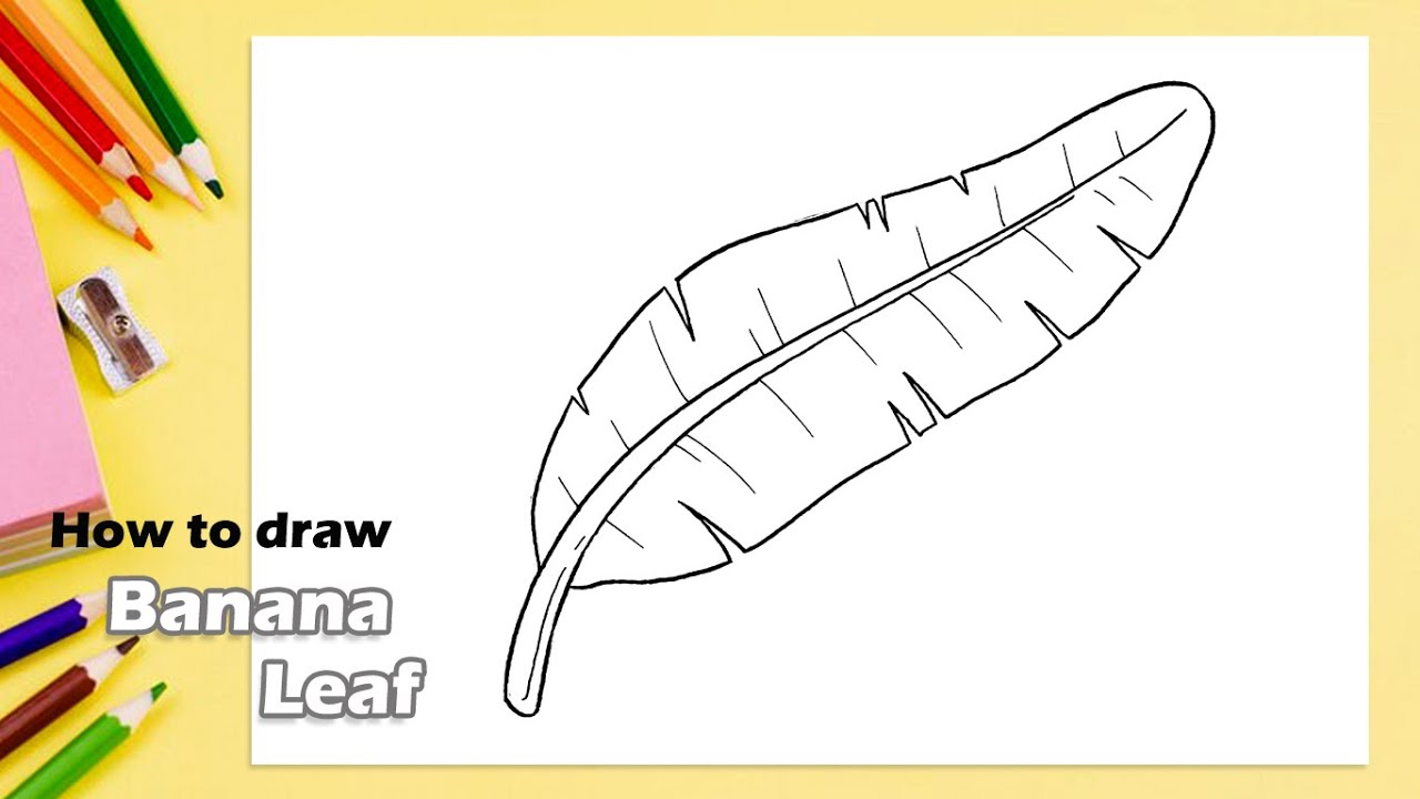 How to draw Banana Leaf
