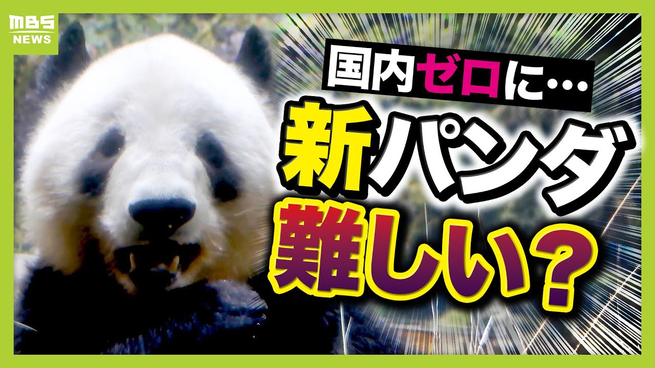 【今後の日中“パンダ外交”は】上野の２頭返還が１か月早まる　“外交のおまけ”の新パンダは難しい？「国内パンダゼロ」は来月に迫る（2025年12月15日）
