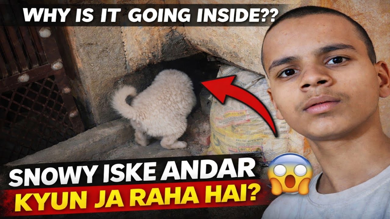 ISKE ANDAR KYA HAI? 😱