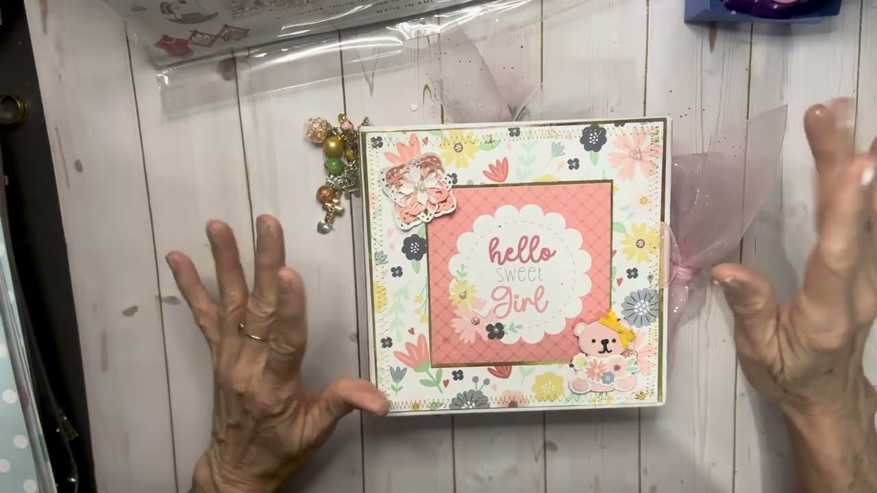61/2x61/2 #echoparkpaper Baby on Board Baby Girl Mini Album Share