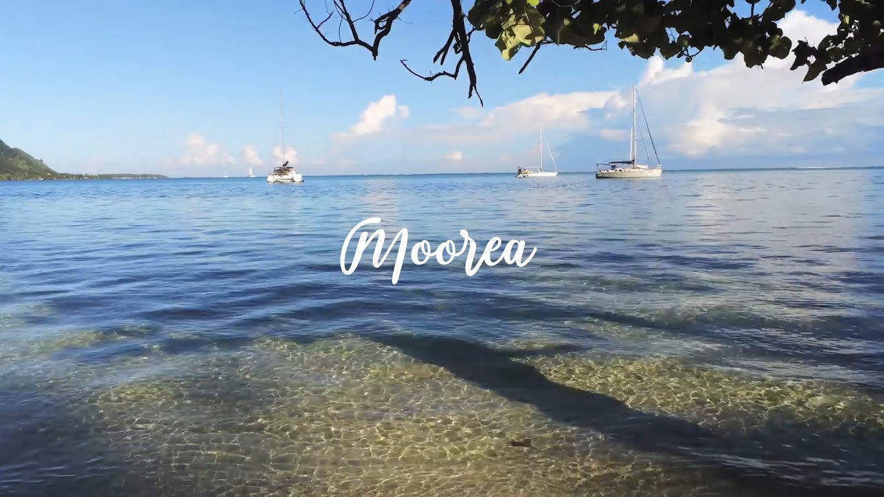 空拍茉莉亞島 MOOREA drone footage