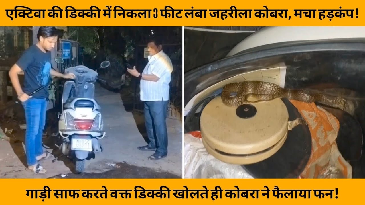 एक्टिवा की डिक्की से निकला3 फीट लंबा जहरीला कोबरा,मचा हड़कंप| COBRA SNAKE | AMBERNATH | ULHASNAGAR |