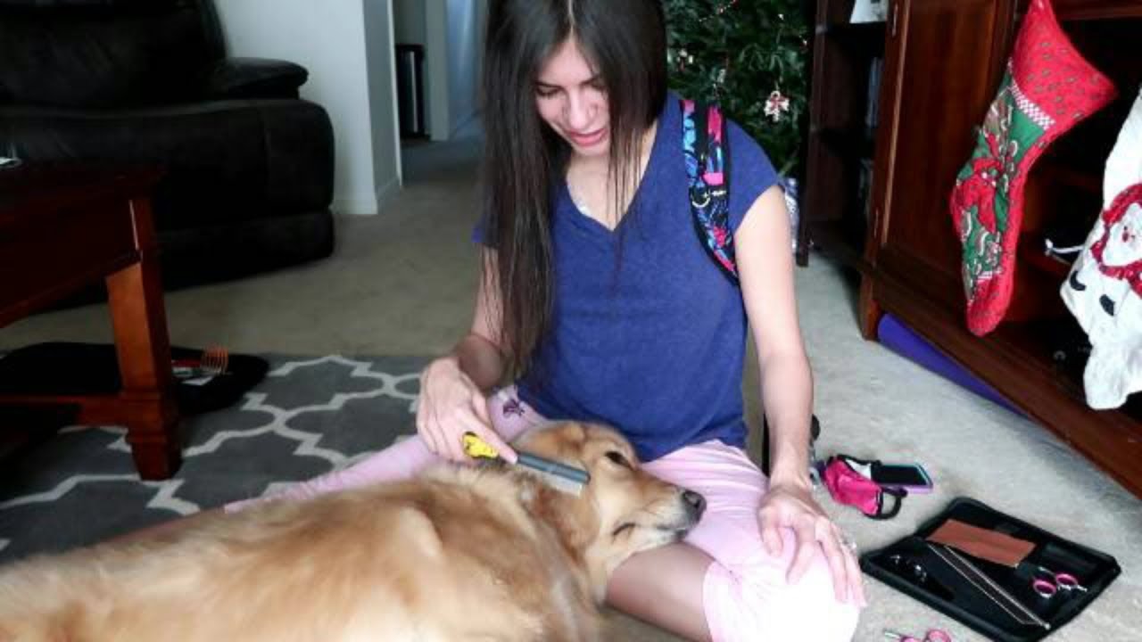 🐕 Pampering My Service Dog | Grooming Session! 💅 (12/18/17)