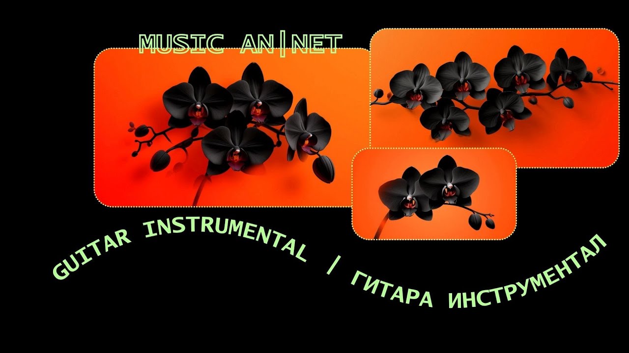 Music AN|NET. Клип - Orchid of Love (mood guitar instrumental) 🪴🪴🪴