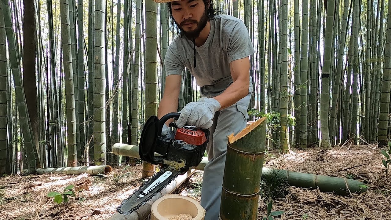 竹の簡単な間伐方法【和か(にこやか)農園】
