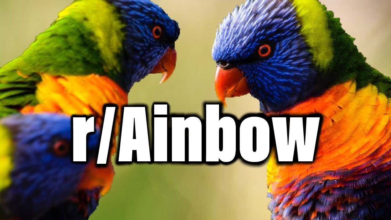 r/Ainbow | Эпизод 117 | ПОДУМАЙТЕ О ГЕЯХ