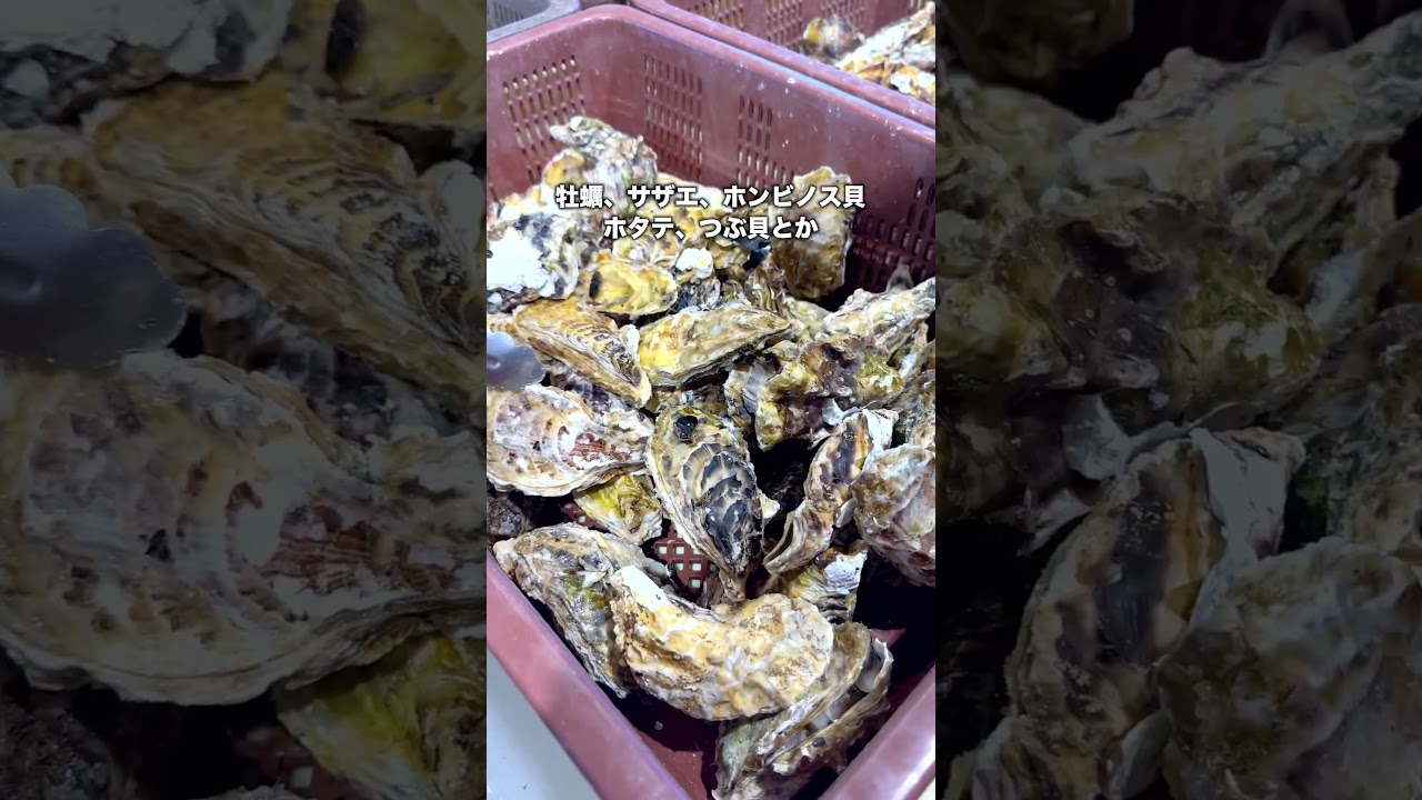 天国送りにされる浜焼き食べ放題がおそろしかった&hellip; #shorts