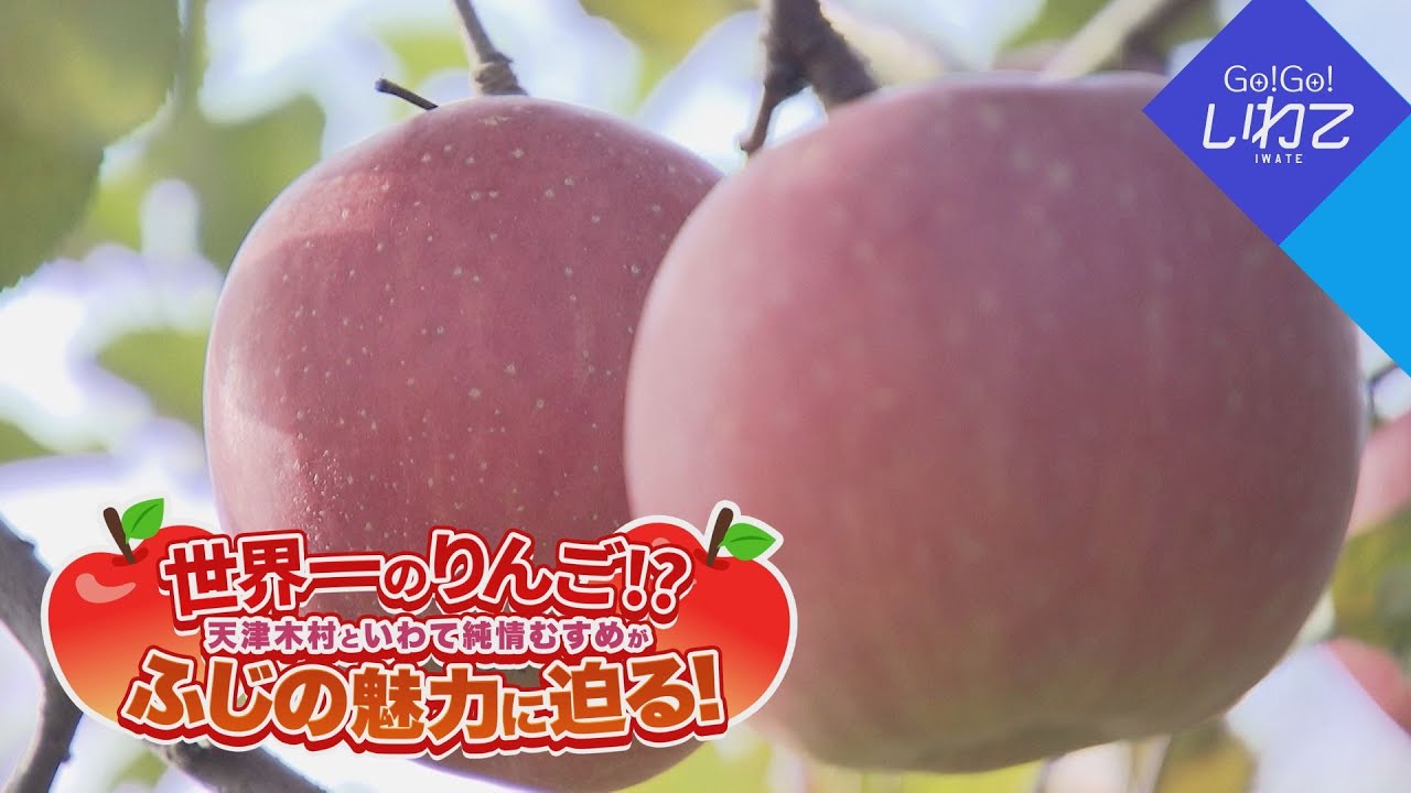 【Go！Go！いわて】2025年12月13日(土)O.A＜天津木村といわて純情むすめがふじの魅力に迫る！＞
