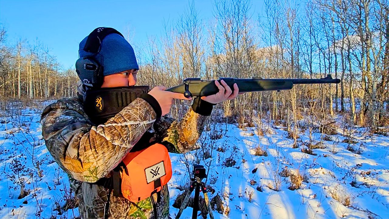 Первая стрельба из Savage 110 Hog Hunter Iron Sight (бюджетная винтовка Scout?)