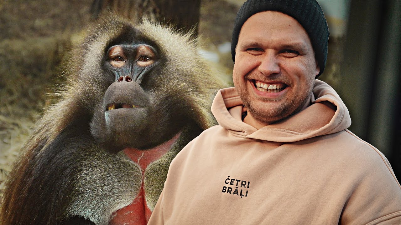 MĒS ESAM KRUSTVECĀKI PĒRTIĶIEM | ČETRI BRĀĻI