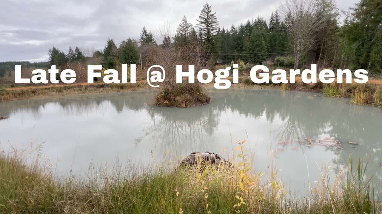 Hogi Gardens #003 | Late Fall New Planting Progress | Piles Of Wood Chips Are Bringing The Biology!