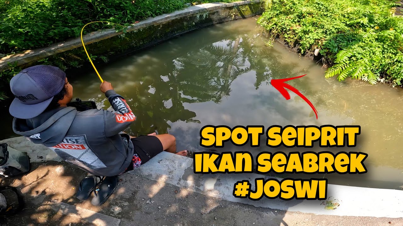 ‼️SPOT JOS‼️ MANCING IKAN DI SELOKAN MALAH DAPAT BANYAK | MANCING LIARAN