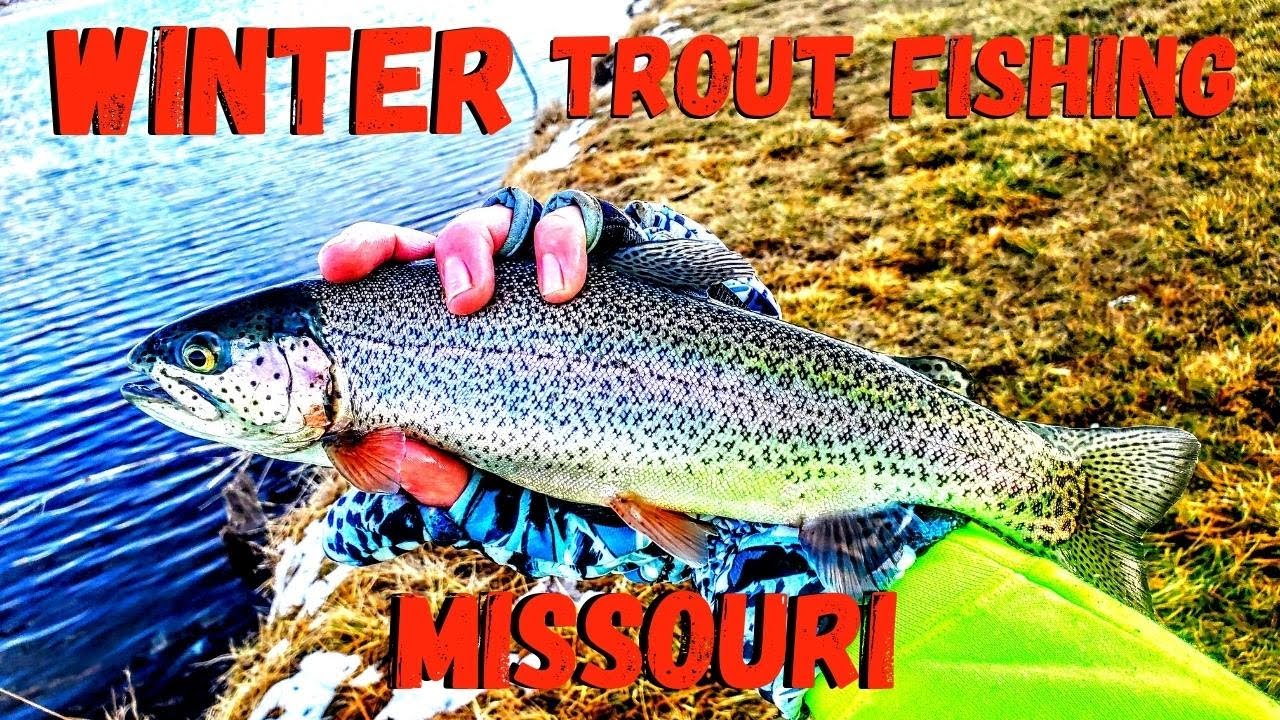 Winter Trout Fishing in Missouri
