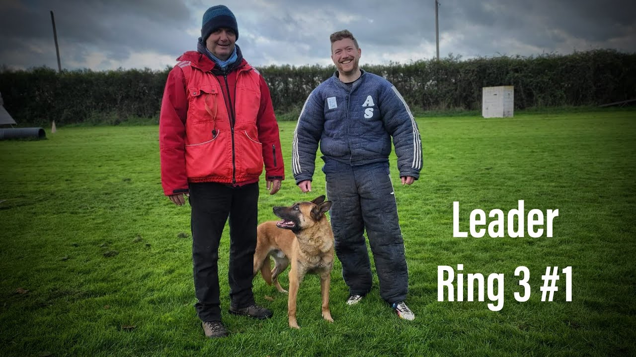 Leader - Ring 3 #1
