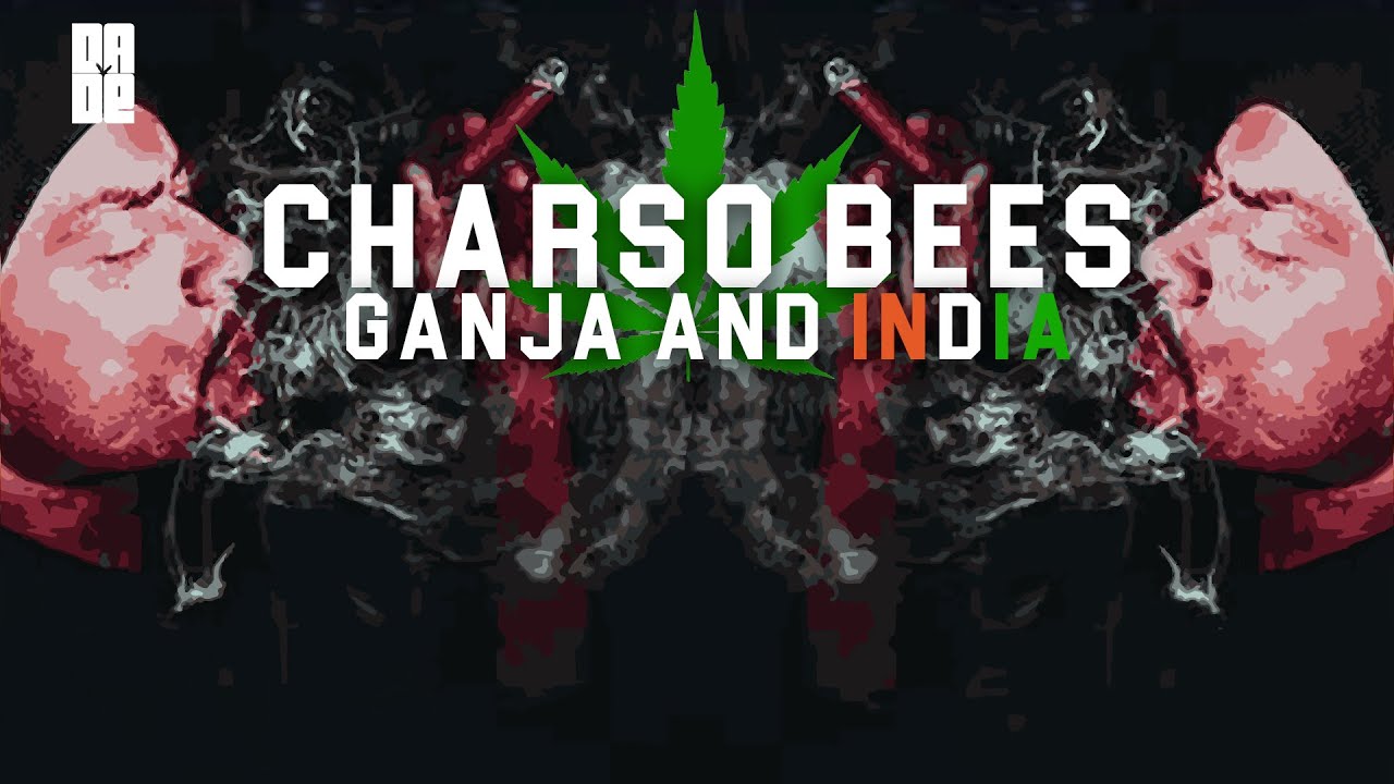 CHARSO BEES -  Cannabis & India | Dade