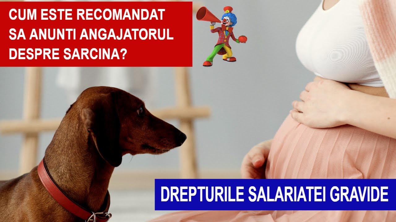 DREPTURILE SALARIATEI GRAVIDE❗❗❗ 📢CUM ESTE RECOMANDAT SA FIE ANUNTAT ANGAJATORUL DESPRE SARCINA?!