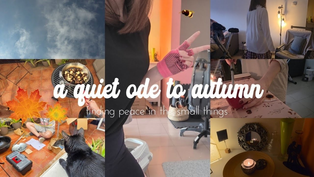 Just an Ordinary Perfect Autumn Day 🍁