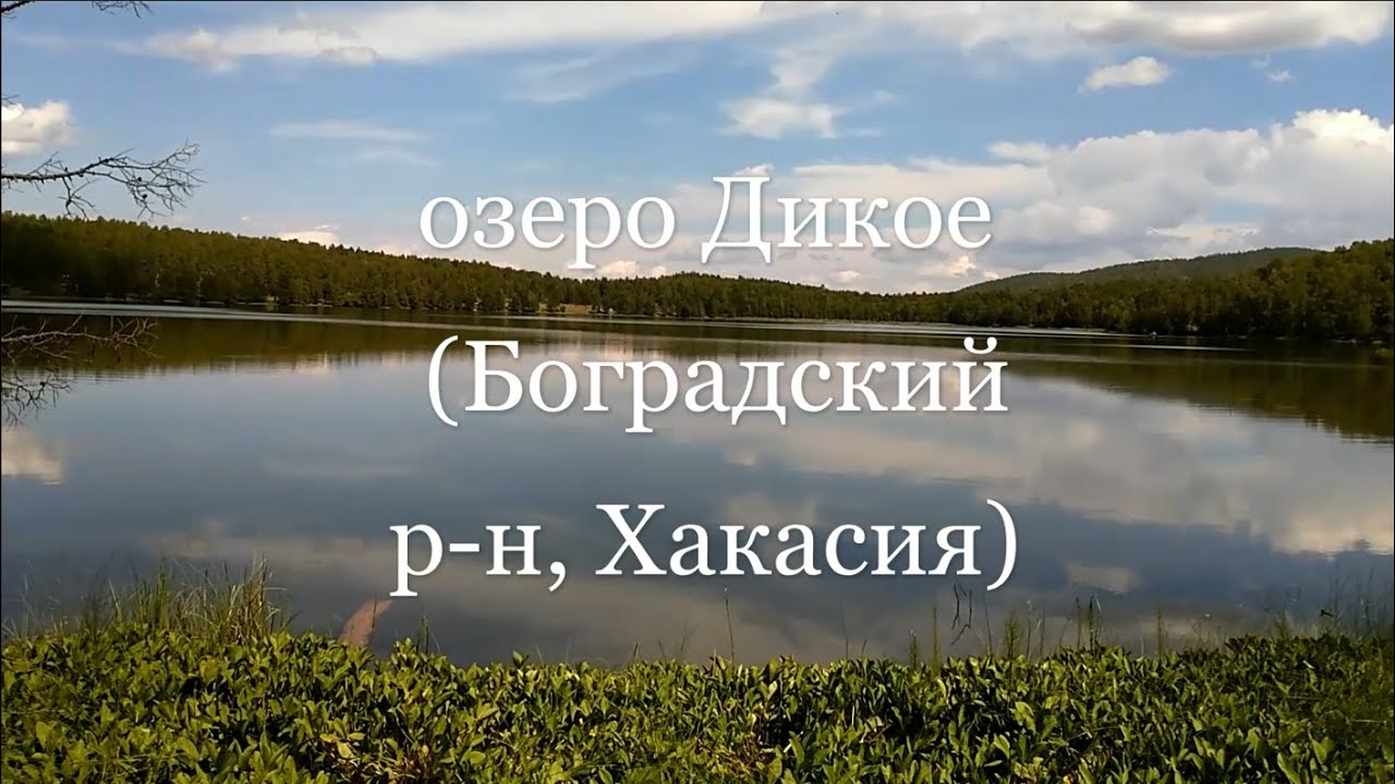 🌊 озеро Дикое (Боградский район, Хакасия) 01.08.2022г