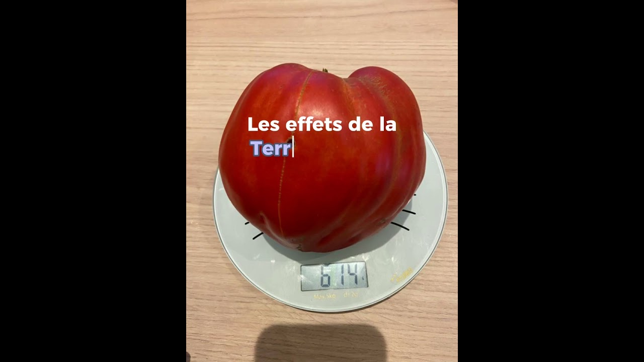 La Terre Diamant et votre potager