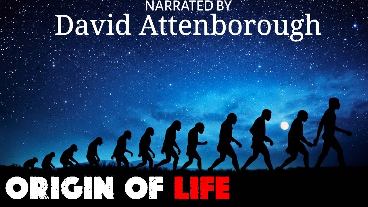 How Life Began on Earth: The Complete 4 Billion Year Story | David Attenborough Explained