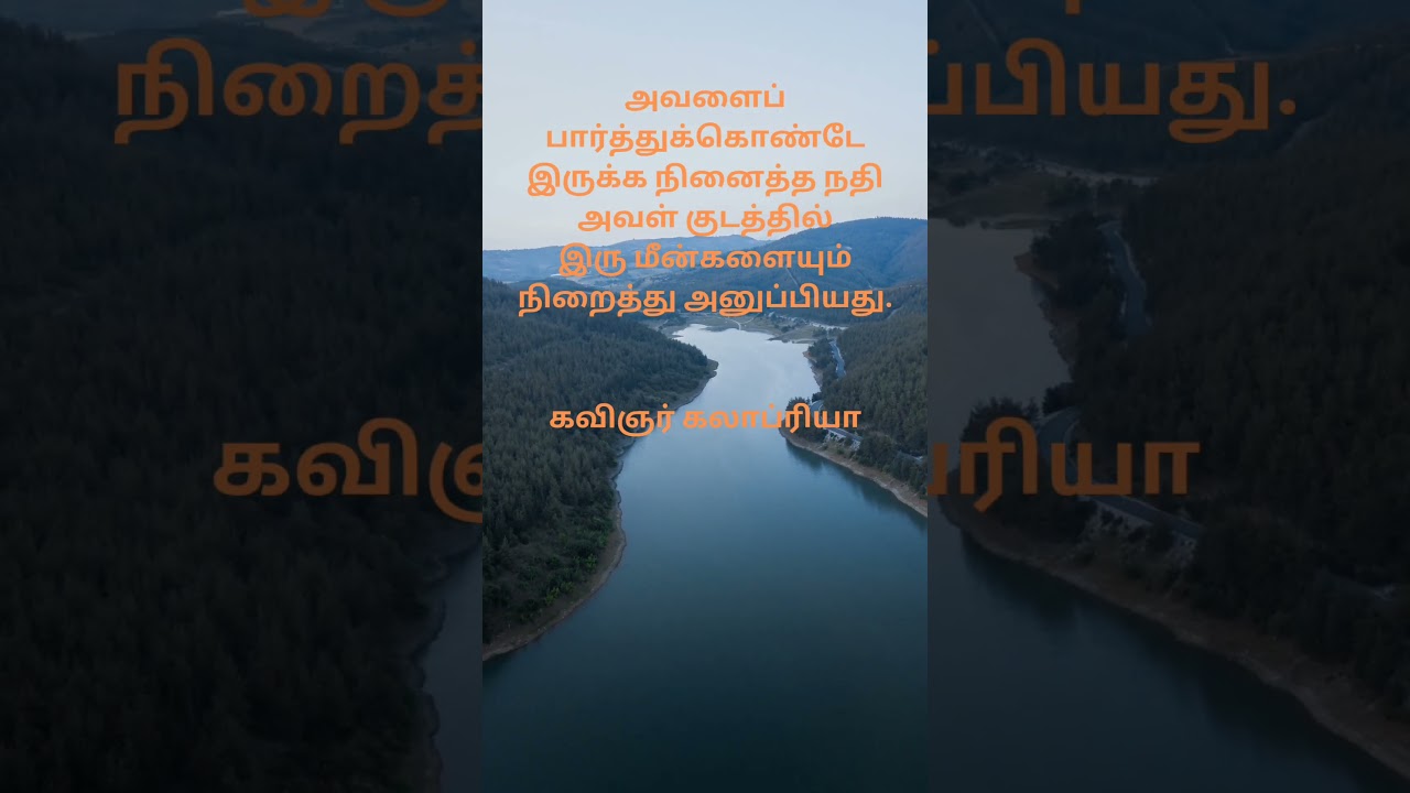 கலாப்ரியா #கலாப்ரியா #kalapriya #கவிஞர்கலாப்ரியா #tamilmodernpoem #நவீனக்கவிதை #lovepoetry #tamil