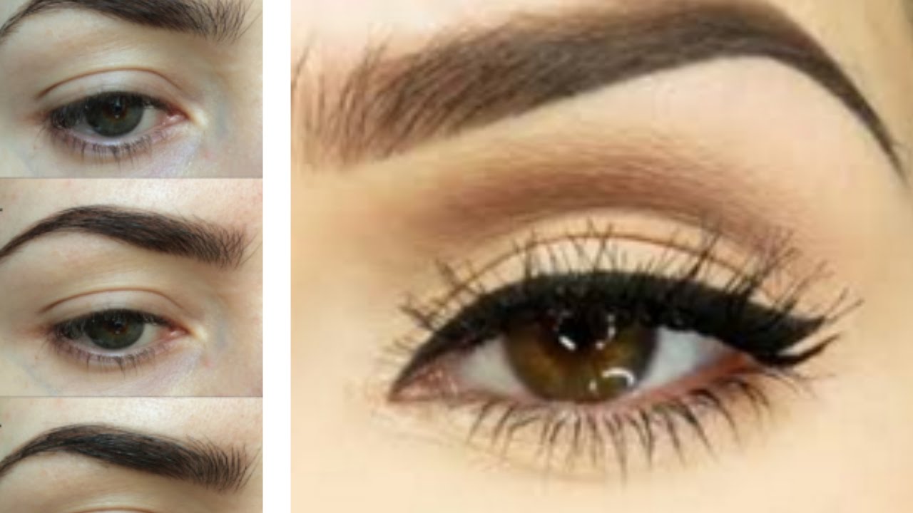 EASY EYEBROW TUTORIAL | How to Trim, Tweeze, Shape + Fill Your Brows for Beginers