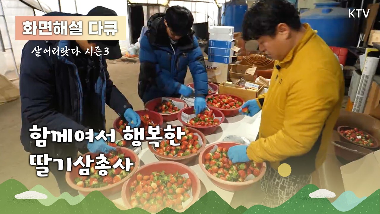 (화면해설) 살어리랏다 시즌3 15회 함께여서 행복한 딸기삼총사